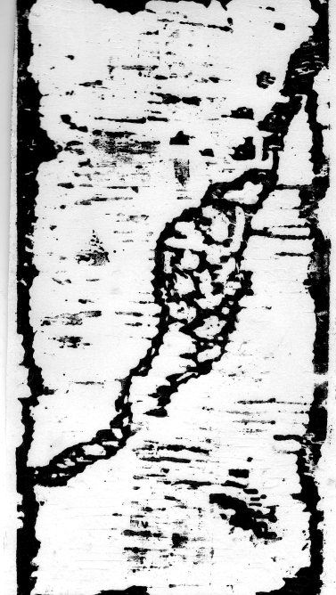 #348 woodcut pavement 13