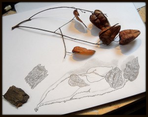 Drawing found things