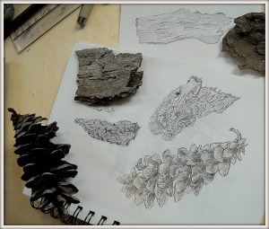 Thing I like to draw apr 21 2116