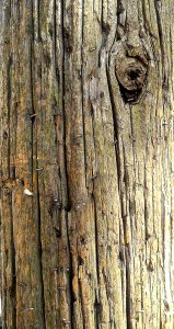 Things to draw utility pole