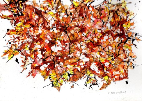 #783 First Snow on Aumumn Leaves.jpg